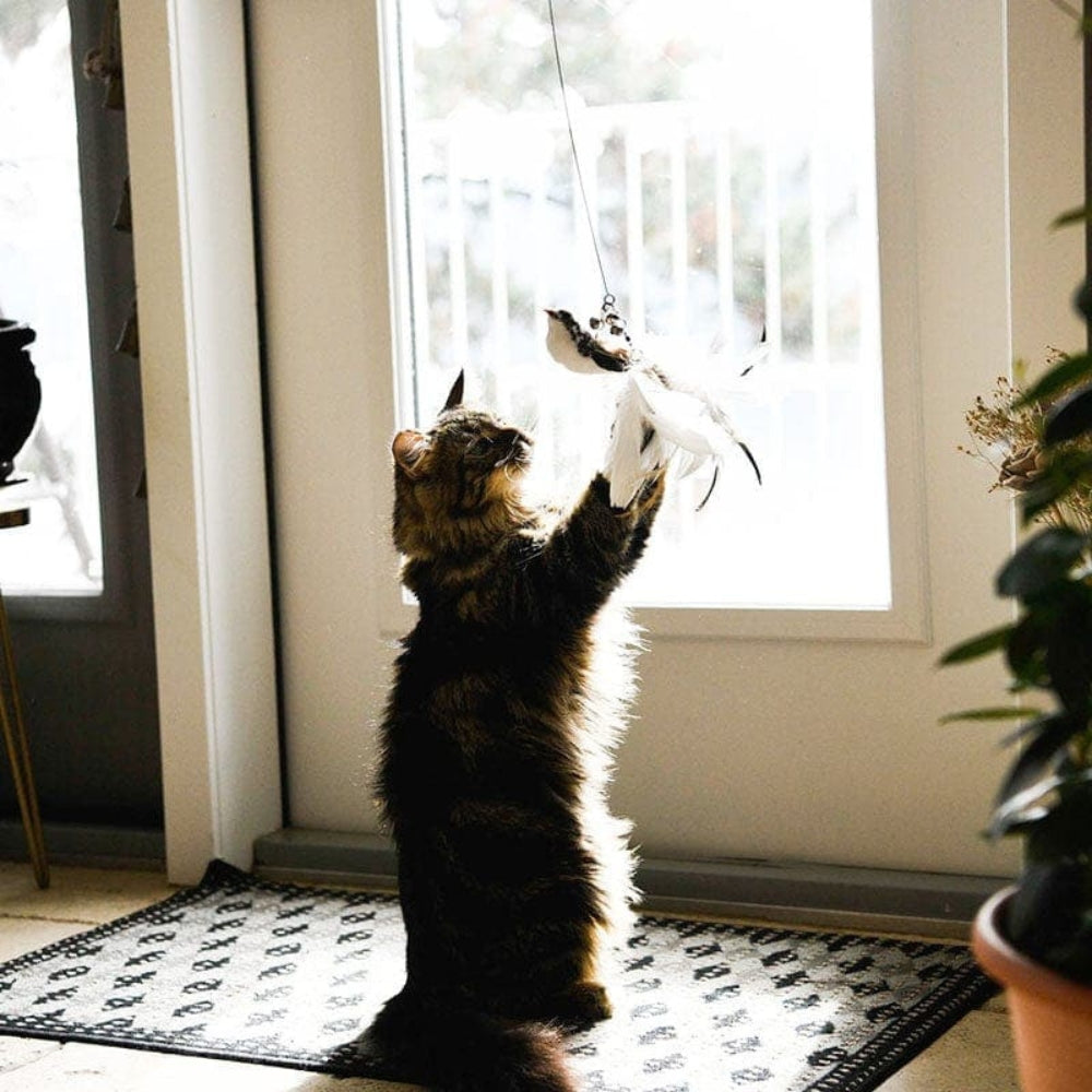 Gioco Interattivo per Gatti